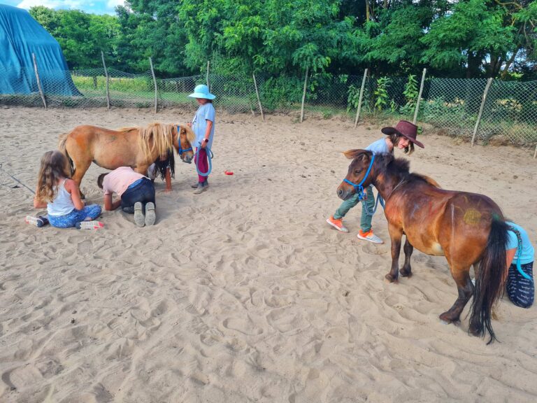 Lovak szőre és patái kicsinosítva zsírkrétával