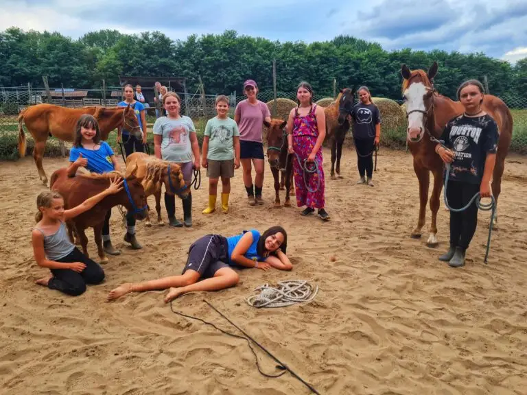 BFC 2024-es 3. turnusi csapata