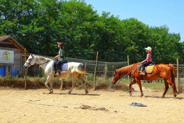 Közös lovaglás a tesóval