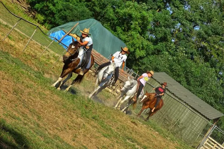 BFC lovasai bemelegítést végeznek lóhátról