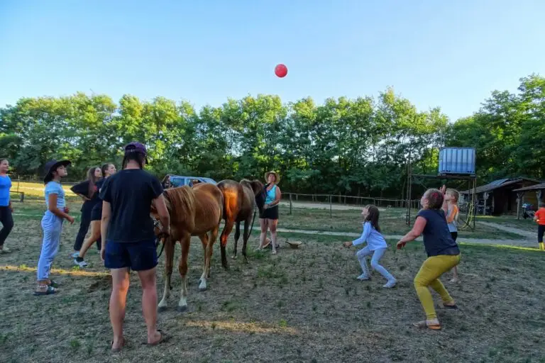 BFC táborban lovas röplabda is volt